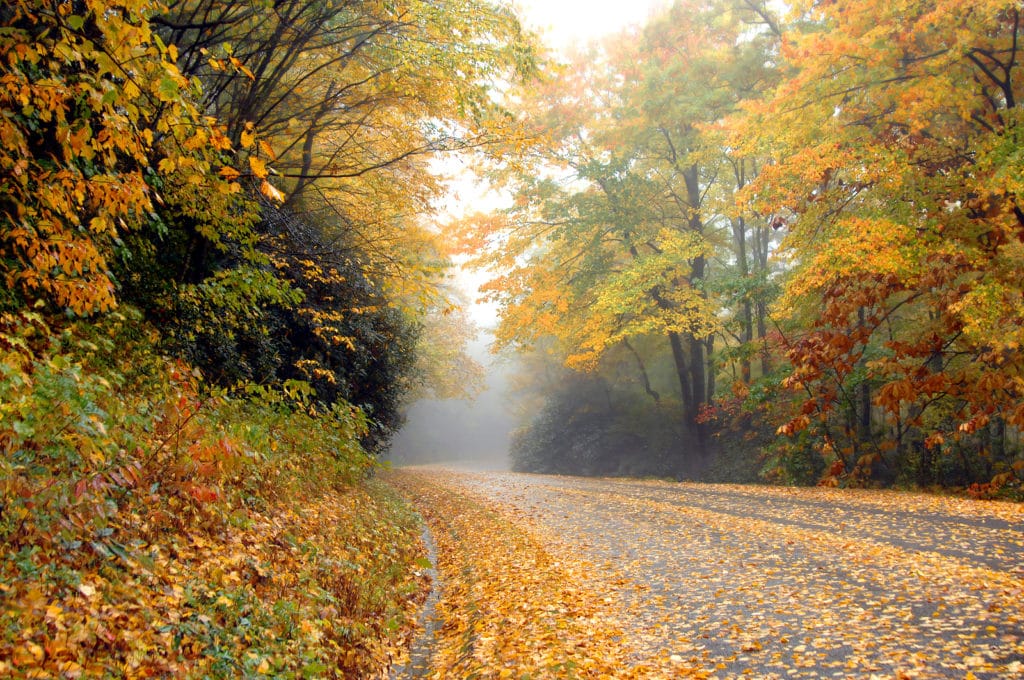 Fall Foliage on the Blue Ridge Parkway