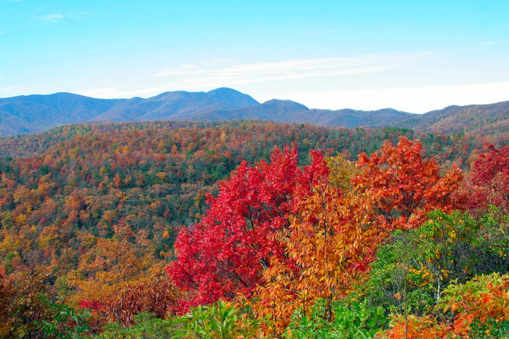 Fall Foliage on the Blue Ridge Parkway