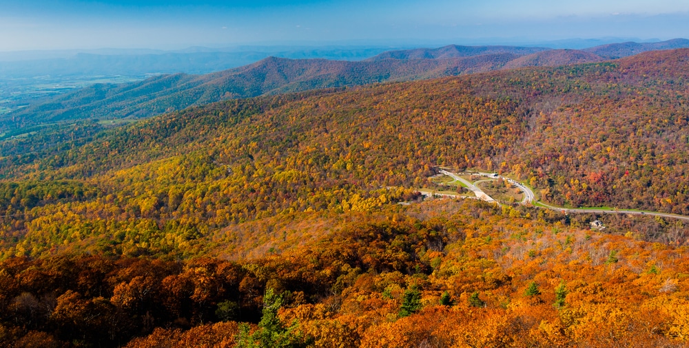 Shenandoah Fall Foliage Peak 2025