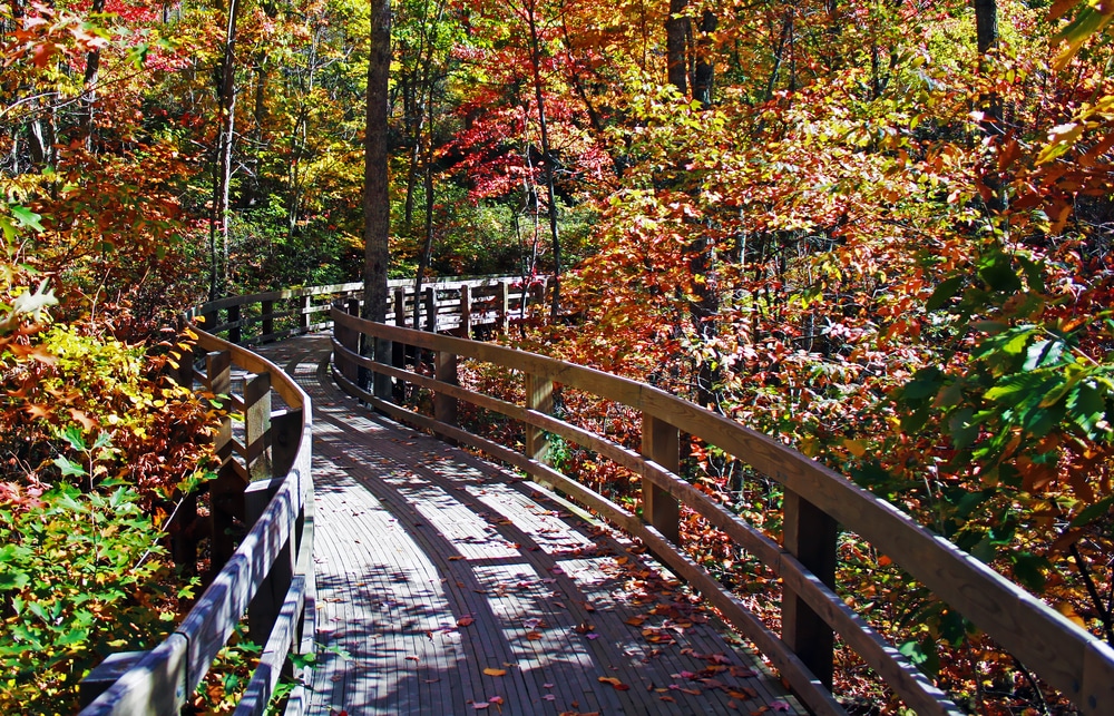Beautiful hiking trail to enjoy fall foliage in Shenandoah National Park