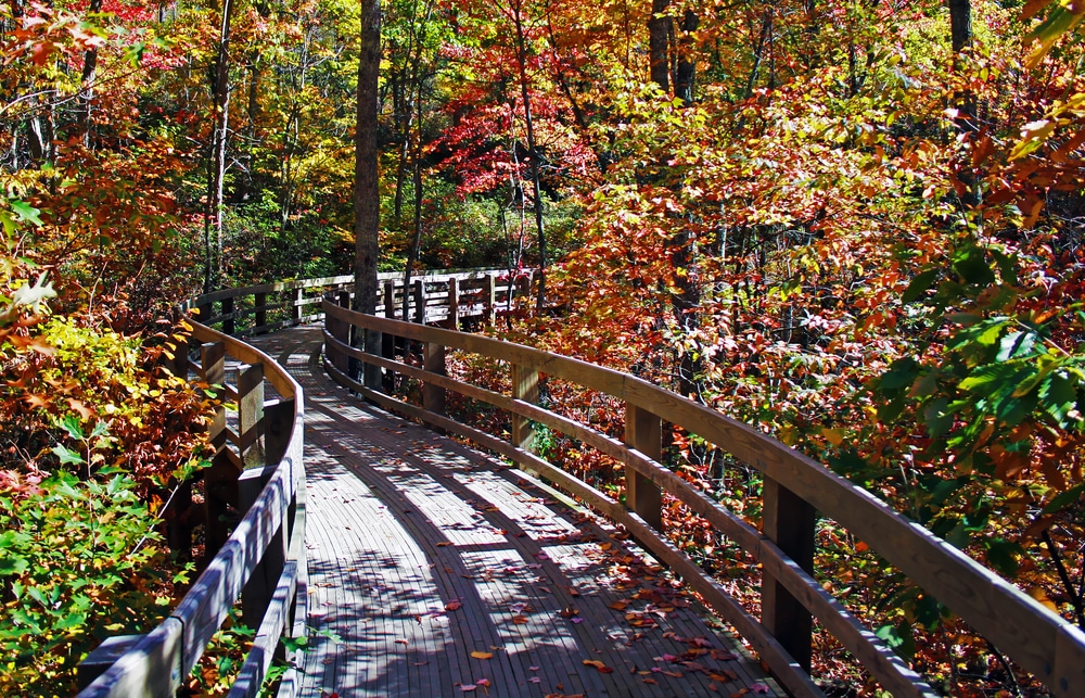 10 STUNNING Places For Fall Foliage In The Shenandoah Valley