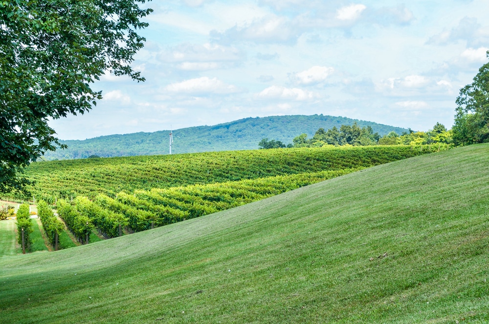Shenandoah Valley Wineries | THE 15 BEST Shenandoah Valley Wineries ...