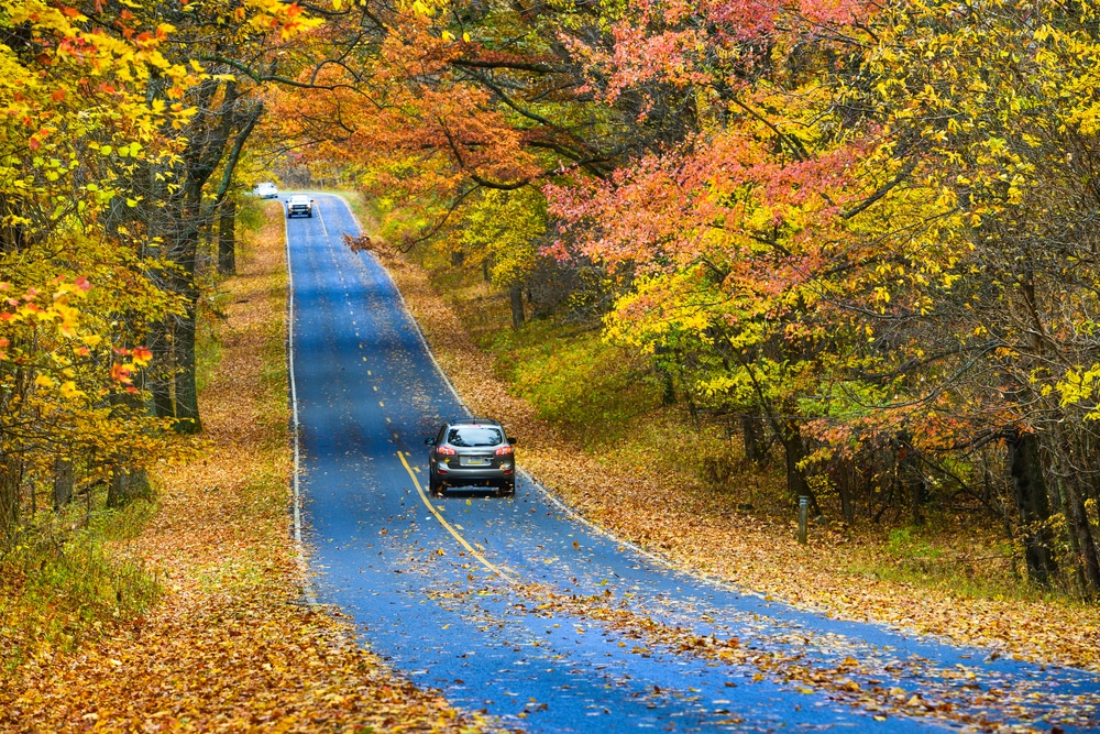 Cars driving through colorful foliage during fall in Shenandoah National Park