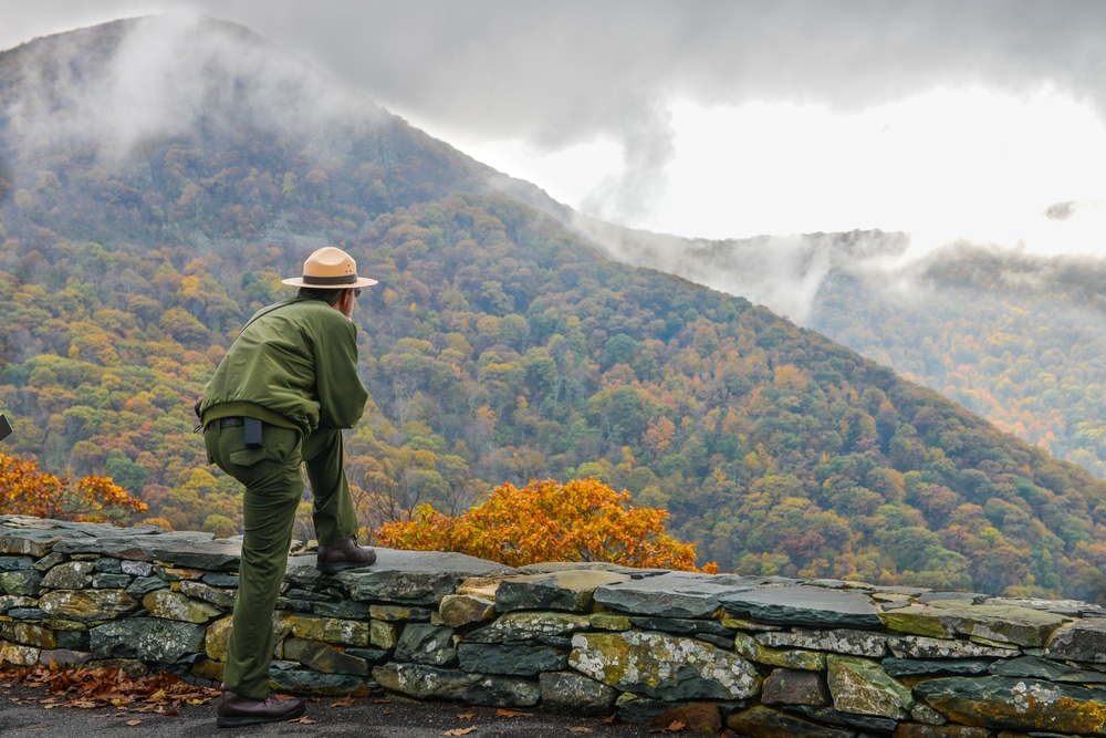 A man looking over the Shenandoah Fall Foliage in Virginia