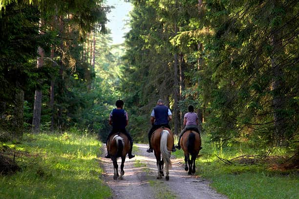 group of 3 people on a horseback ride