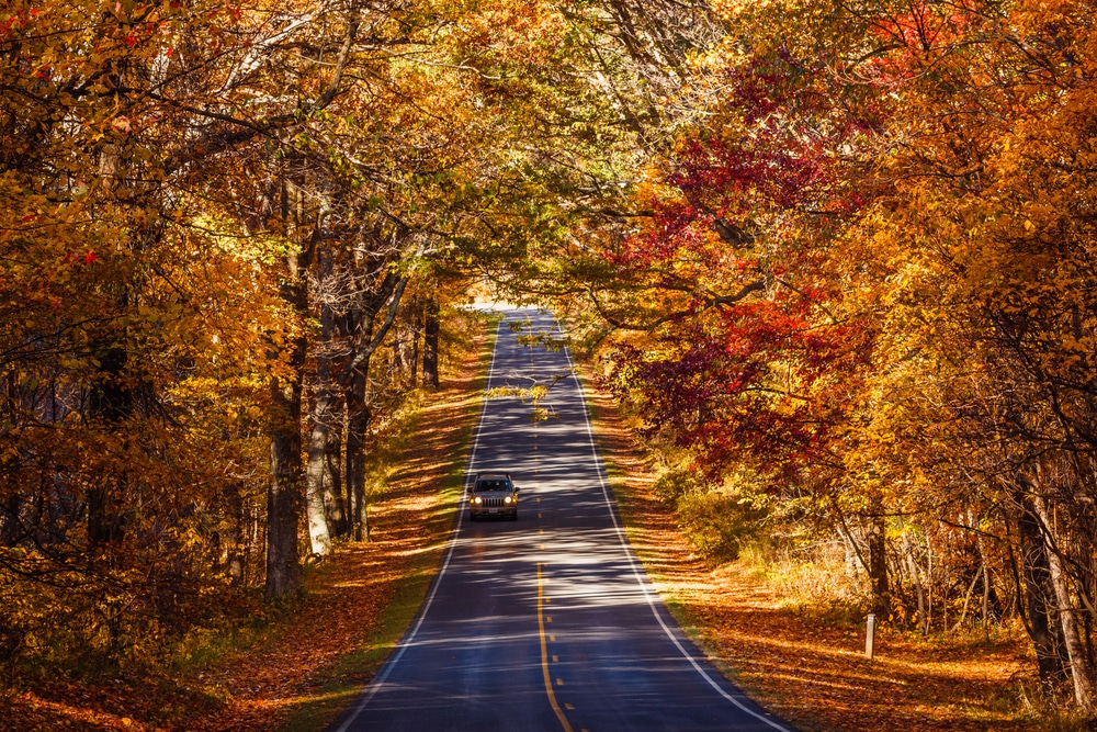 Gorgeous fall drive on Skyline Drive - one of the best things to do in Shenandoah National Park