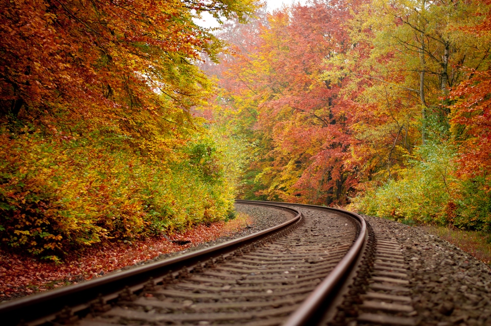 Colorful fall foliage along the Virginia Scenic Railway