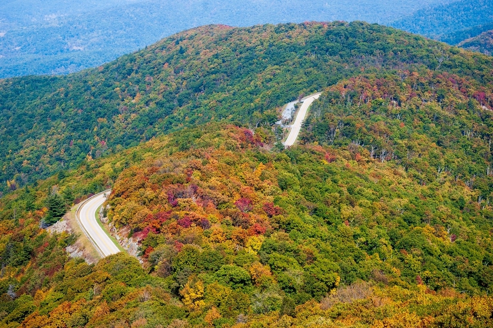 View of Skyline Drive fall foliage from Stony Man Overlook in Shenandoah National PArk