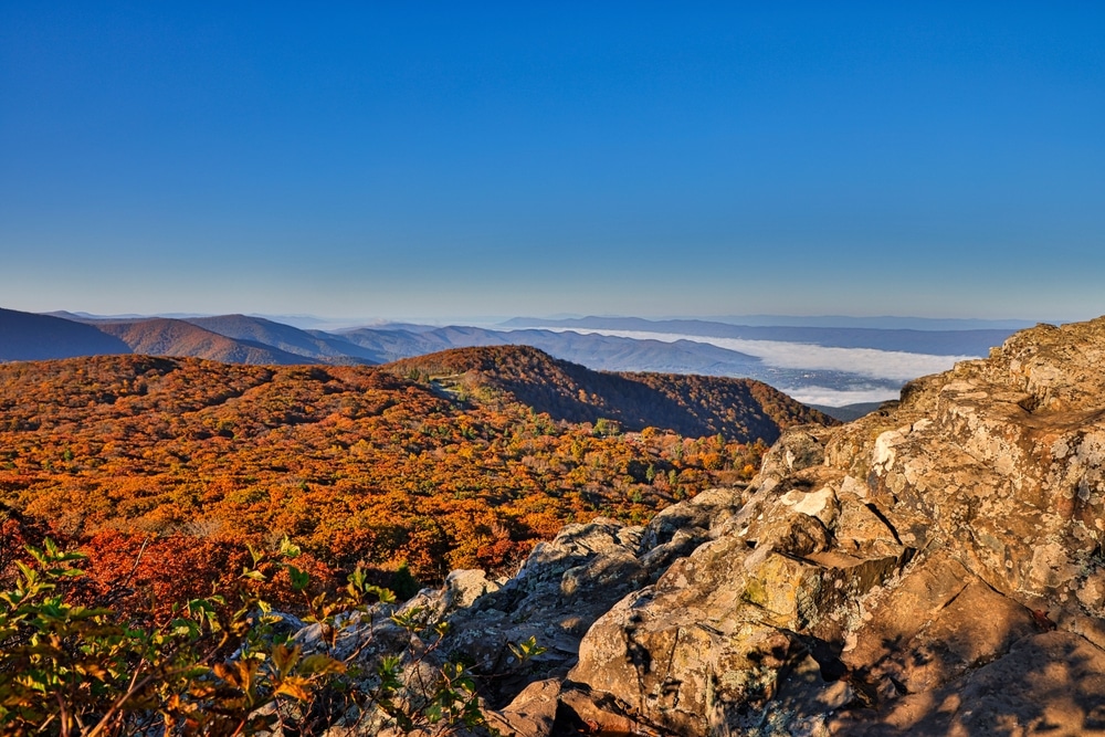 Visiting our Bed and Breakfast in Shenandoah Valley in fall and enjoying scenic views like this while hiking is the best